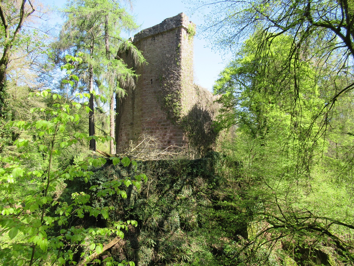 Die Burgruine Stolzeneck erinnert an die Stauferzeit
