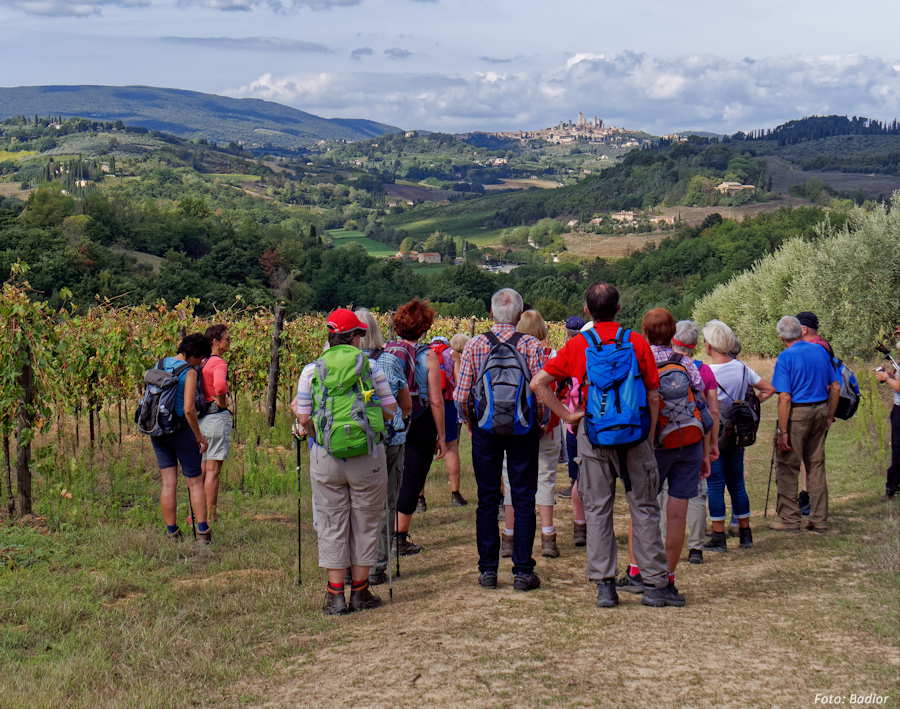 Die 26 Wanderer des OWK auf der Frankensstraße nach San Gimignano