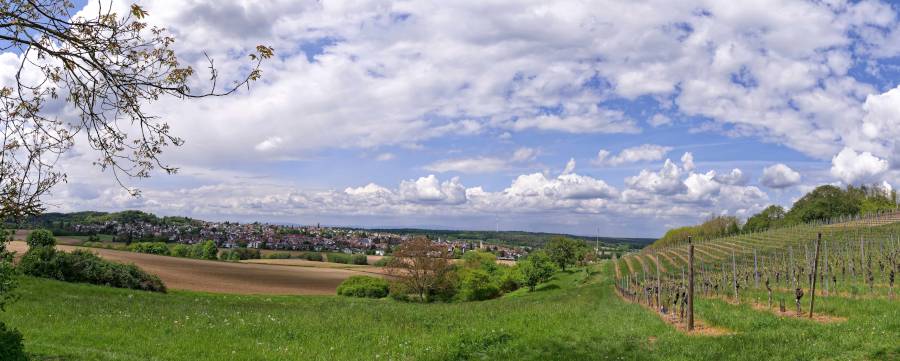 Panorama Rossdorf