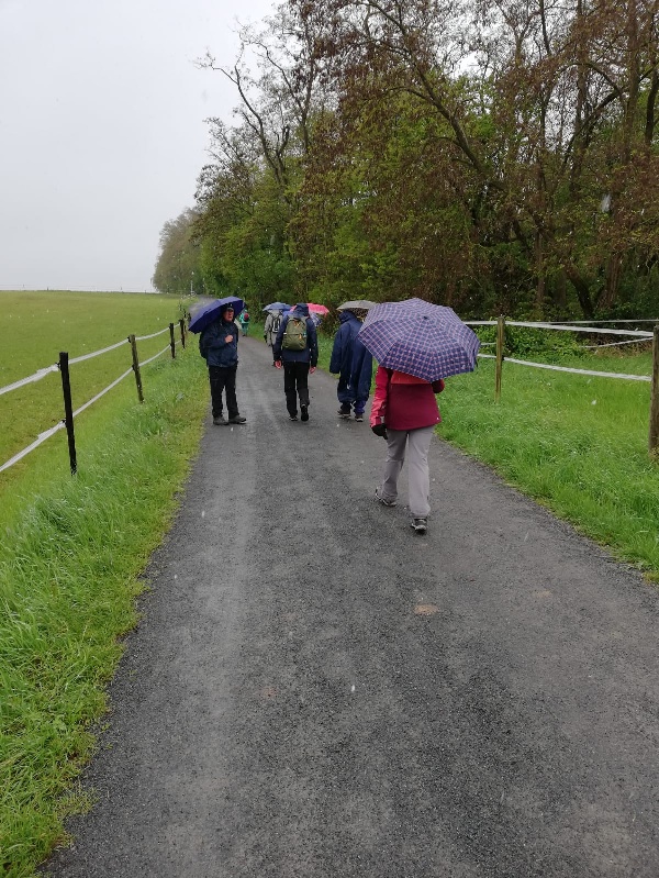 Wandergruppe-mit-Schirm