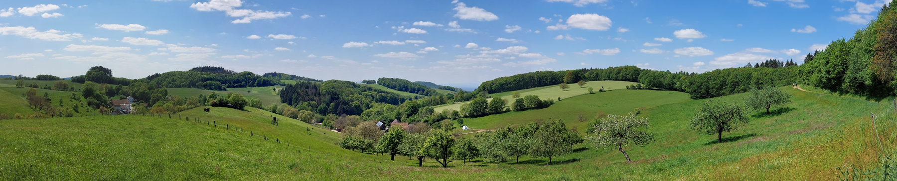 Bank-mit-Aussicht_pano