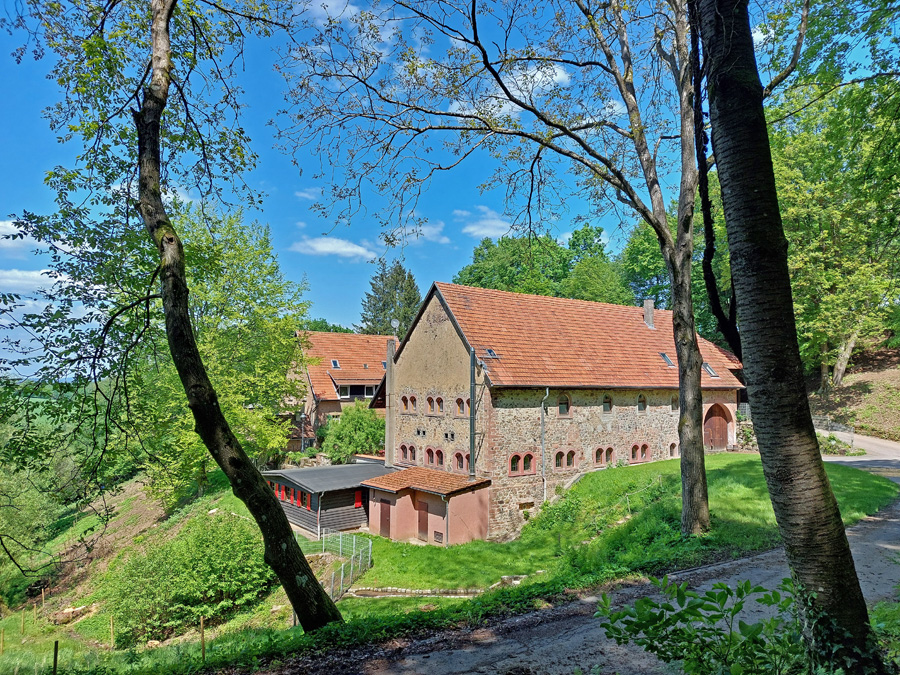 Lindenhof