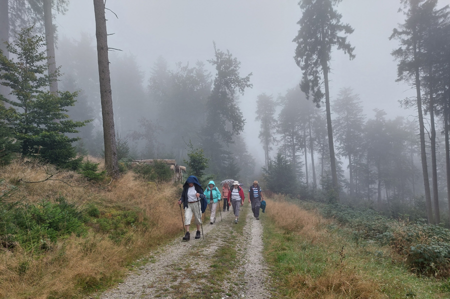 Wandern-im-Regen-und-Nebel