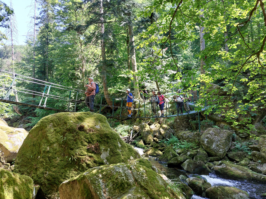 in-der-Buchberger-Leite