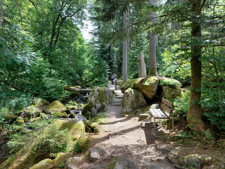 in-der-Saussbachklamm