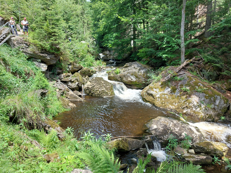 in-der-Steinklamm-bei-Spiegelau1