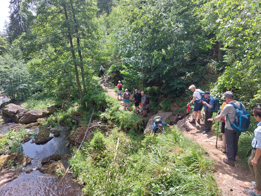 in-der-Steinklamm-bei-Spiegelau1
