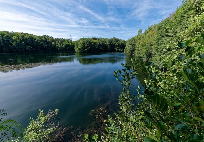 Oberwaldsee