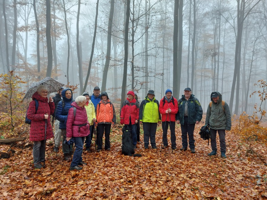 Kurzstreckler-im-Novembernebel