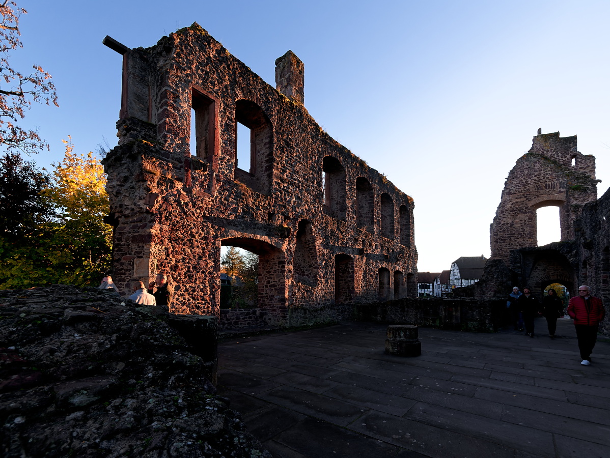 Ruine-Burg-Hayn