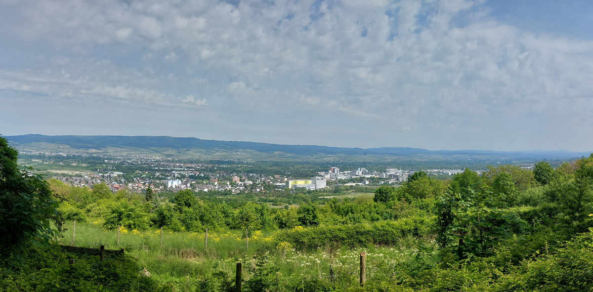 Panoramablick