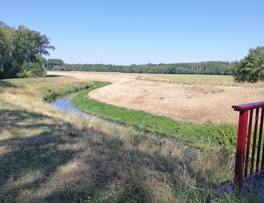 Weschnitz-und-Rheinhauptdeich