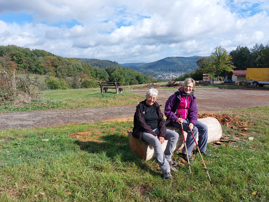 Ausblick-Neckartal1