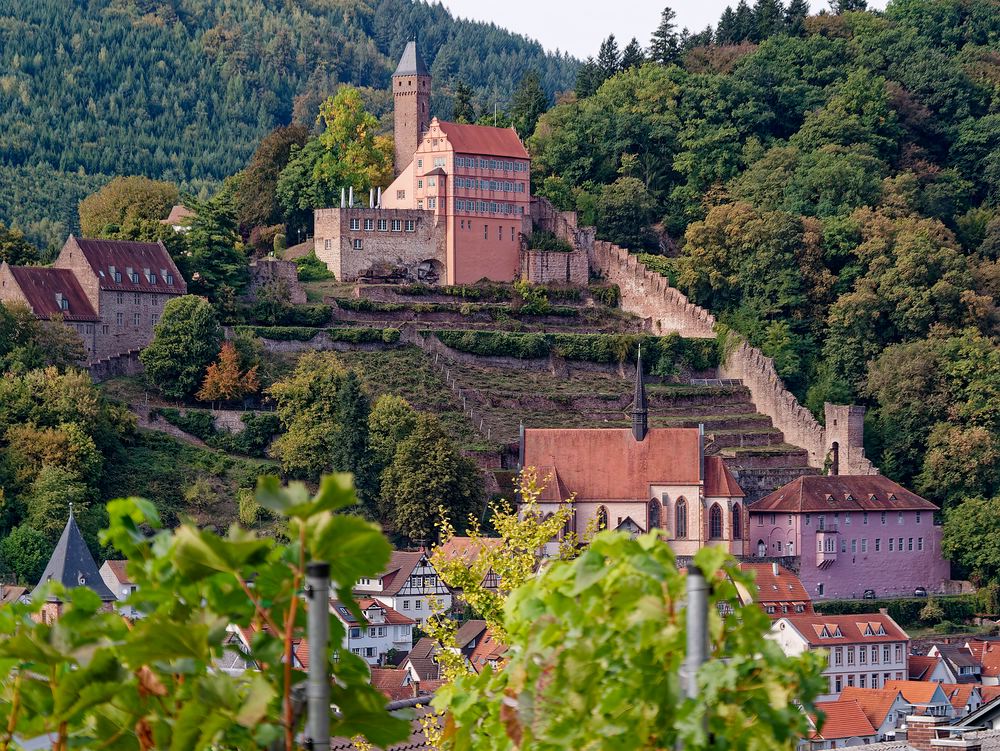 Schloss Hirschhorn