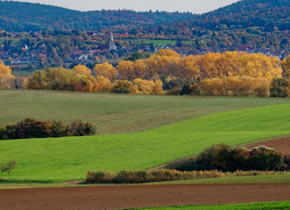Blick-auf-Lengfeld-im-Herbst.jpg